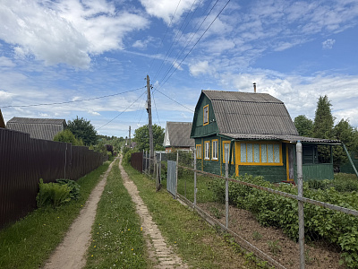 Picture